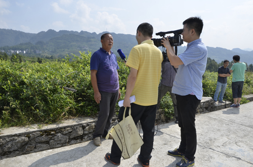 在藤茶基地采访示范户.jpg
